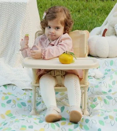 HC-09 Baby High Chair Large (Single)